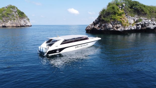 Luxury Speedboat 3 engine